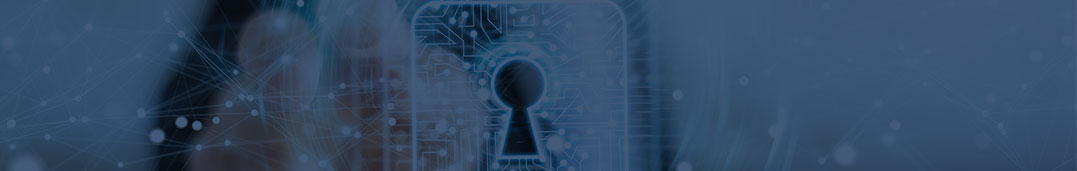 Con nuestros servicios digitales, ahorra tiempo y dinero - Security Data